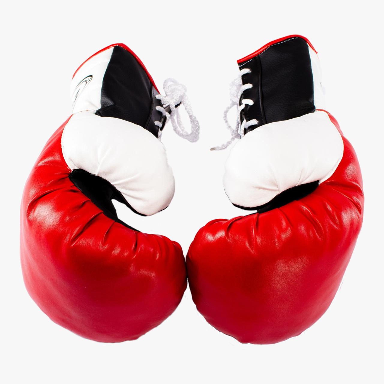 WhatsApp Image 2025-05-01 at 18.18.00